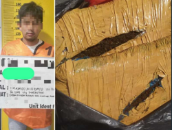Berawal Dari Laporan Warga, Sat Resnarkoba Polres Kuansing Amankan ± 2 Kg Daun Ganja Kering