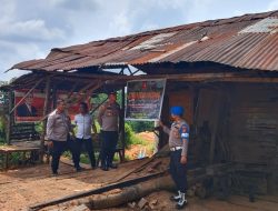 Gerak Cepat, Polsek Kampar Kiri Hilir Langsung Cek Laporan Masyarakat Tentang Maraknya Ilegal Logging