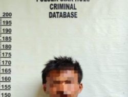 Pencuri Sawit Milik PT. CLS Ditangkap Security, Akhirnya Mendekam Di Polsek Siak Hulu