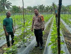 Polres Kampar Ajak Masyarakat Tangan Pangan: Pengecekan Pekarangan Bergizi di Sungai Pagar Sukses!