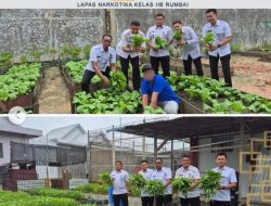 Program Pembinaan Berbuah Hasil, Lapas Narkotika Rumbai Panen Kangkung dan Sawi Segar