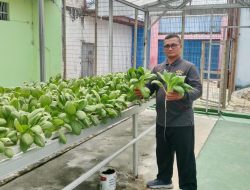 Panen Sayur Kangkung dan Pakcoy, Bukti Nyata Lapas Pekanbaru Terus Produktif dan Konsisten Dukung Program Ketahanan Pangan