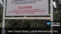Aktifitas Walau Terpasang Penyegelan Plang SATGASUS -PKH daerah TNBT- Bukit Tigapuluh Lubuk Mandrasyah Tebo-Jambi