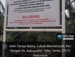 Aktifitas Walau Terpasang Penyegelan Plang SATGASUS -PKH daerah TNBT- Bukit Tigapuluh Lubuk Mandrasyah Tebo-Jambi