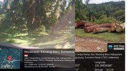 Kebal Hukum Beroperasional Merambat TN-BUKIT SULIKI