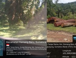 Kebal Hukum Beroperasional Merambat TN-BUKIT SULIKI