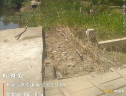 Penggunaan Dana Desa dan BUMDES Desa Kualucenaku , Kecamatan Kualucenaku Bermasalah, Janji Mungkin.