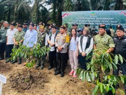 Relokasi Lahan Masyarakat Taman Nasional Tesso Nilo“Wujudkan Hutan Lestari, Masyarakat Sejahtera”