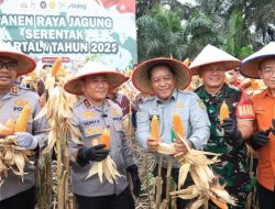 Wujudkan Swasembada Pangan, Polda Riau Panen Raya Jagung Serentak di Kampar