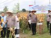 Polsek Kulim Gelar Panen Raya Jagung Kuartal II 2026, Dukung Program Swasembada Pangan Nasional