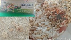 Diduga Beras Bulog Bantuan LAM Tidak Layak Konsumsi.