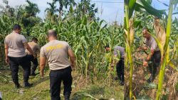 Polri Cinta Petani, Polresta Pekanbaru Aktif Dukung Ketahanan Pangan Nasional di Tuah Madani