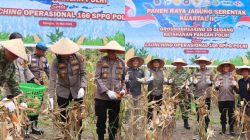 “Presiden Prabowo Resmikan Program Polri Untuk Swasembada Pangan – Polres Kampar Gelar Panen Jagung & Penanaman Pohon Sebagai Wargaharian”