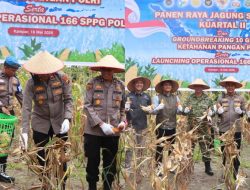 “Presiden Prabowo Resmikan Program Polri Untuk Swasembada Pangan – Polres Kampar Gelar Panen Jagung & Penanaman Pohon Sebagai Wargaharian”