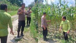 Polsek Bukit Raya Jajaran Komitmen Program Ketahanan Pangan Nasional&nbsp; Pemerintah Bersama Polri.