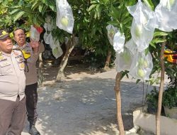 Polresta Pekanbaru Dorong Ketahanan Pangan, Polsek Bukit Raya Edukasi Warga Manfaatkan Pekarangan Rumah