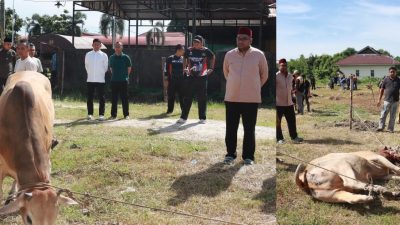 “Polres Kampar Penyembelihkan 9 Ekor Sapi Qurban – Hasilnya Dibagikan Kepada Masyarakat, Warga Asrama & Personel