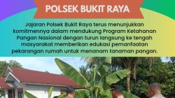 Polsek Bukit Raya Dukung Ketahanan Pangan Yang Dimulai Dari Perkarangan Rumah