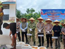 Kapolsek Kampar AKP Asdisyah Mursyid SH Antar Langsung Hasil Panen Petani ke Bulog, Wujud Nyata Dukungan Ketahanan Pangan Nasional