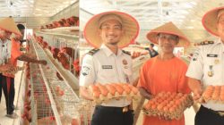 Lahan Terbatas Tak Halangi Lapas Pekanbaru Produksi 800 Telur per Hari