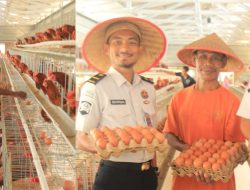 Lahan Terbatas Tak Halangi Lapas Pekanbaru Produksi 800 Telur per Hari