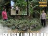 *Polri Cinta Petani, Polresta Pekanbaru Perkuat Ketahanan Pangan Melalui Pendampingan Kebun Warga di Cinta Raja*