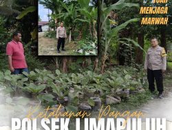 *Polri Cinta Petani, Polresta Pekanbaru Perkuat Ketahanan Pangan Melalui Pendampingan Kebun Warga di Cinta Raja*