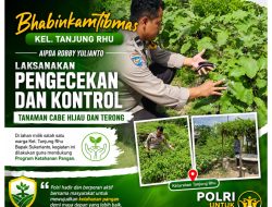 Polsek Limapuluh Perkuat Ketahanan Pangan, Monitoring Tanaman Cabai Hijau dan Terong Bersama Warga Tanjung Rhu