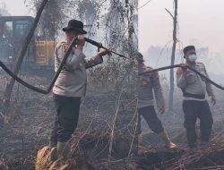 Kerahkan 123 Personel, Kapolres Kampar Pimpin Langsung Pemadaman & Pendinginan Karhutla di Rimbo Panjang