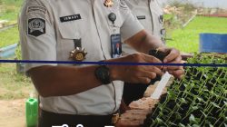 “TINJAU PROGRAM KETAHANAN PANGAN KALAPAS NARKOTIKA RUMBAI LAKUKAN PENGECEKAN PERAWATAN PEMBENIHAN MELON”