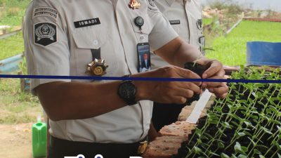 “TINJAU PROGRAM KETAHANAN PANGAN KALAPAS NARKOTIKA RUMBAI LAKUKAN PENGECEKAN PERAWATAN PEMBENIHAN MELON”